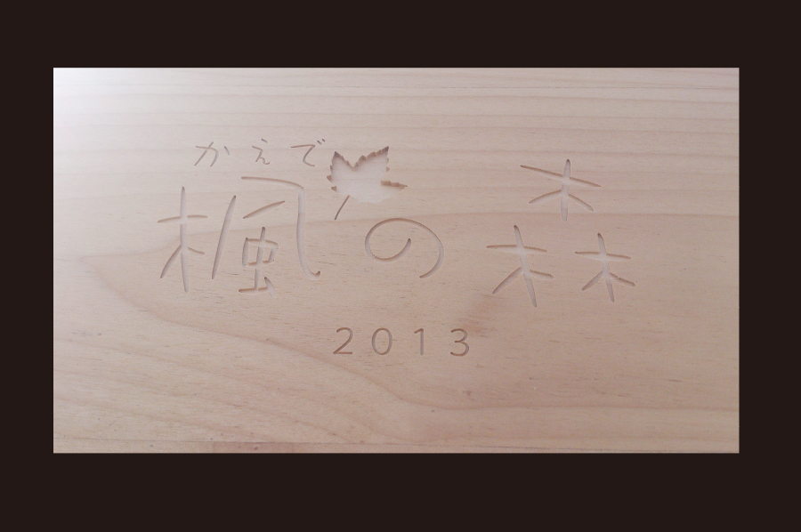 オオギヤ 実績写真35